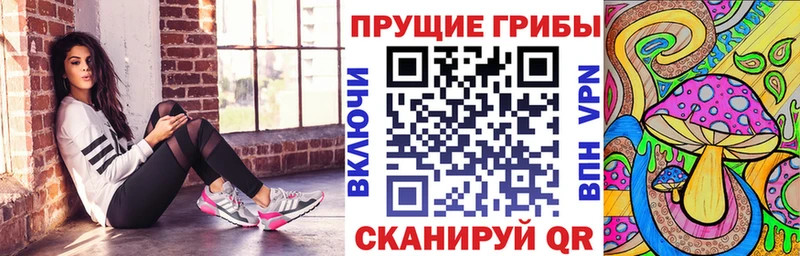 Псилоцибиновые грибы Cubensis  Купить где  Междуреченск 